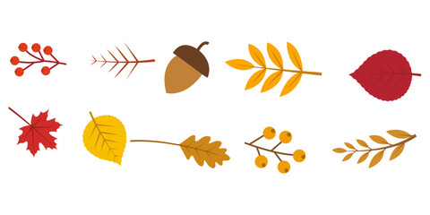 Set of autumn elements including leaves, berries, and an acorn © VECTOR BUNDLE