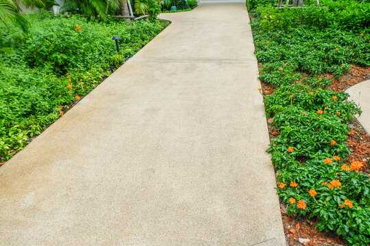 Garden landscape design with pathway in garden and footpath in picturesque summer park and staircase in backyard,Paving stones on floor in park,space for text.