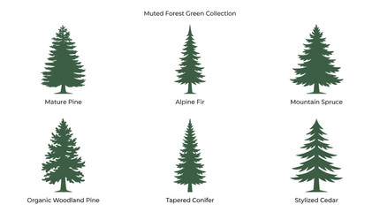 Obraz premium Assorted conifer tree silhouettes collection