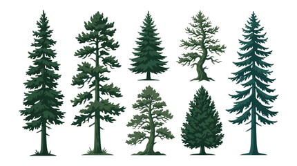 Assorted coniferous evergreen trees collection © BudiSantoso