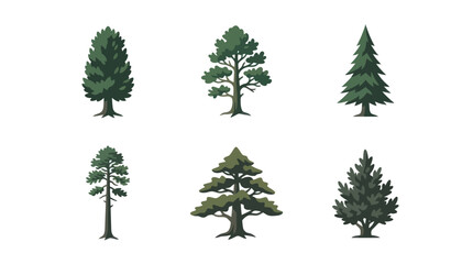 Assorted coniferous tree illustrations © BudiSantoso