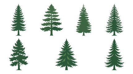 Obraz premium Assorted evergreen tree illustrations