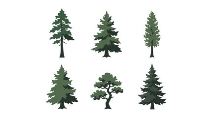 Obraz premium Assorted evergreen trees vector set