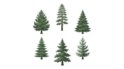 Assorted evergreen tree illustrations © BudiSantoso
