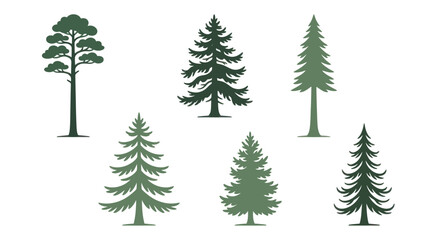 Obraz premium Assorted pine and fir tree silhouettes
