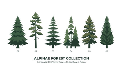 Obraz premium Assorted pine tree illustrations collection