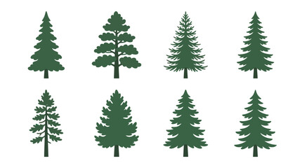 Obraz premium Assorted evergreen tree illustrations