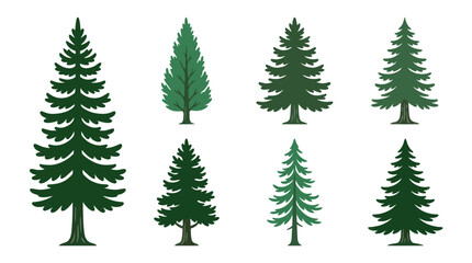 Obraz premium Assorted evergreen tree illustrations