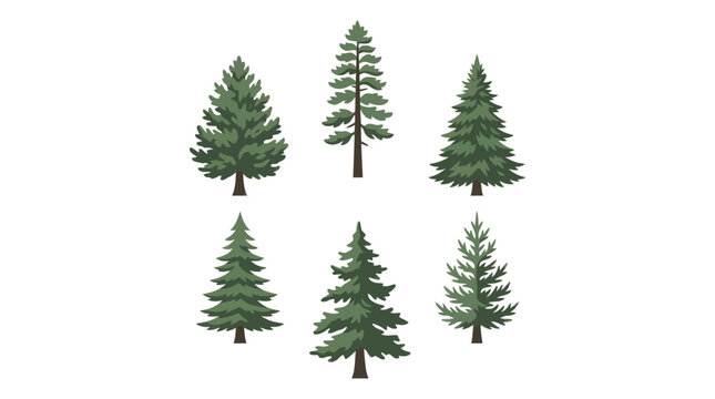 Assorted evergreen tree illustrations