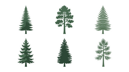 Obraz premium Assorted evergreen tree silhouettes