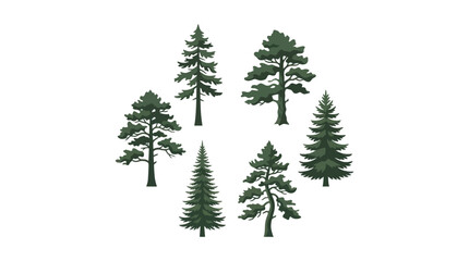 Obraz premium Assortment of evergreen trees
