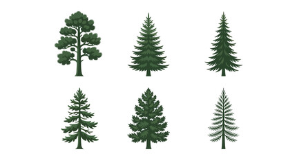 Obraz premium Assortment of evergreen trees