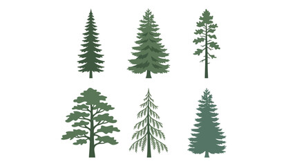 Obraz premium Assorted evergreen tree silhouettes