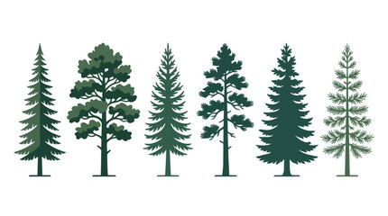 Obraz premium Collection of diverse evergreen trees