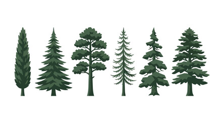 Obraz premium Assortment of evergreen trees
