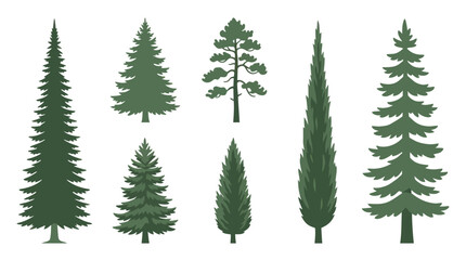 Obraz premium Assortment of evergreen trees