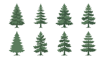 Obraz premium Collection of evergreen tree icons