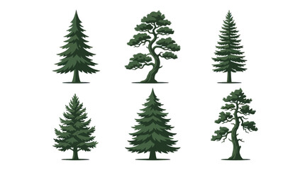 Obraz premium Assortment of evergreen trees