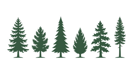 Obraz premium Assorted evergreen tree silhouettes