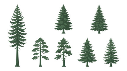 Obraz premium Collection of diverse evergreen trees