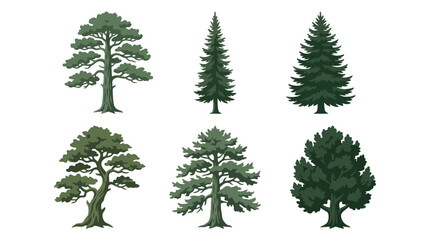 Collection of diverse evergreen trees © Agustasptrr