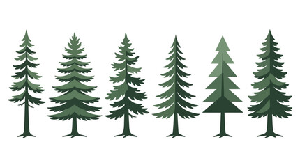 Fototapeta premium Assortment of evergreen trees