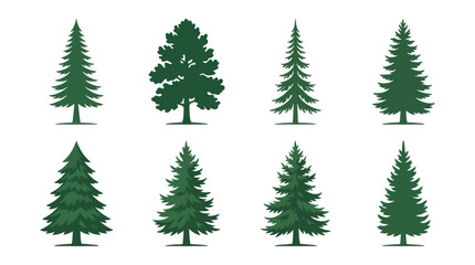 Fototapeta premium Collection of evergreen tree illustrations
