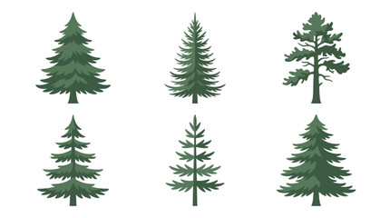 Obraz premium Collection of evergreen tree illustrations