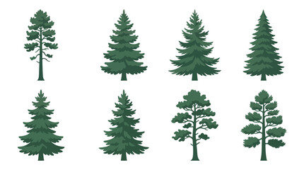 Obraz premium Collection of evergreen tree illustrations
