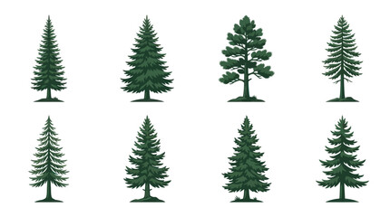 Obraz premium Collection of evergreen tree illustrations