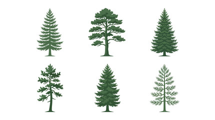 Fototapeta premium Assortment of evergreen trees illustration