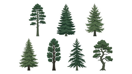 Obraz premium Collection of diverse evergreen trees