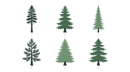 Obraz premium Collection of evergreen tree silhouettes