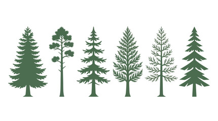 Obraz premium Assortment of evergreen trees silhouettes