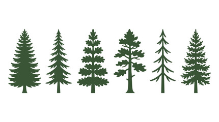 Obraz premium Collection of evergreen tree silhouettes