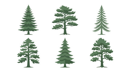 Obraz premium Collection of evergreen tree illustrations