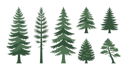 Obraz premium Assortment of pine tree illustrations