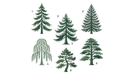 Obraz premium Collection of diverse tree illustrations