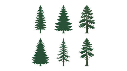 Obraz premium Collection of evergreen tree silhouettes