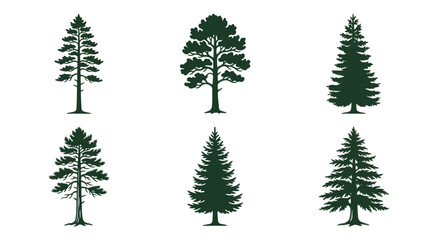 Collection of evergreen tree silhouettes © Alexa