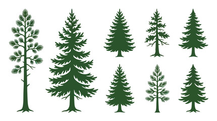 Obraz premium Collection of evergreen tree silhouettes