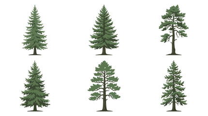 Obraz premium Collection of evergreen tree illustrations