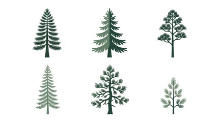 Fototapeta premium Collection of evergreen tree illustrations