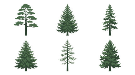 Obraz premium Collection of evergreen tree illustrations