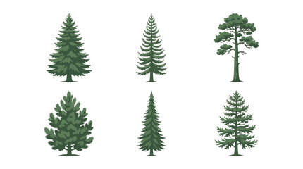 Obraz premium Collection of evergreen tree illustrations