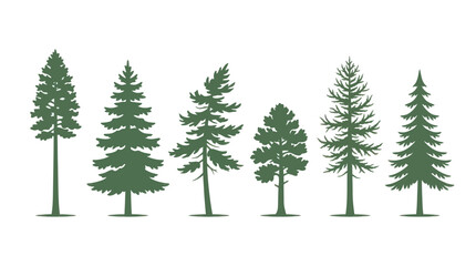 Obraz premium Collection of evergreen tree silhouettes