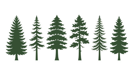 Obraz premium Collection of evergreen tree silhouettes