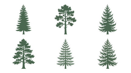 Obraz premium Collection of evergreen tree silhouettes