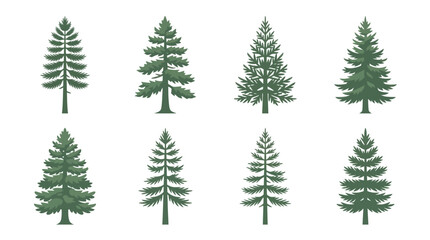 Obraz premium Collection of evergreen tree illustrations