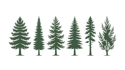 Obraz premium Collection of evergreen tree silhouettes